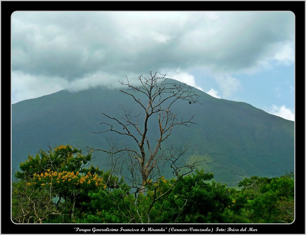 Foto: Parque Generalisimo Francisco de Miranda - Caracas (Distrito Capital), Venezuela