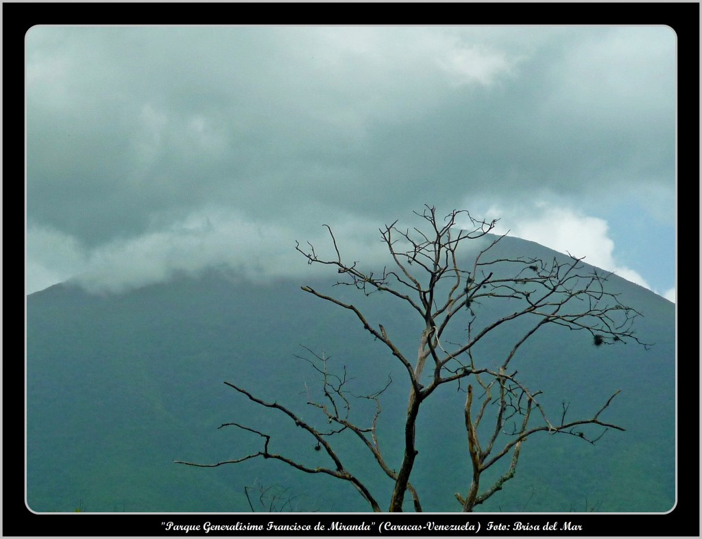 Foto: Parque Generalisimo Francisco de Miranda - Caracas (Distrito Capital), Venezuela