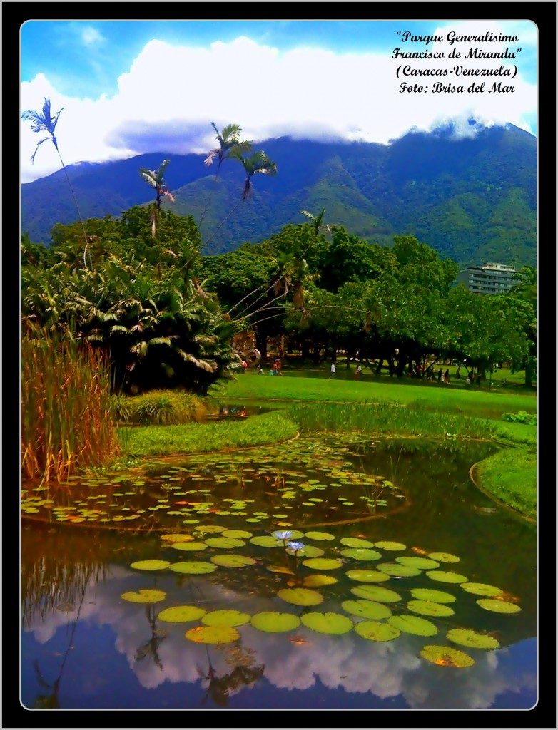 Foto: Parque Generalisimo Francisco de Miranda - Caracas (Distrito Capital), Venezuela