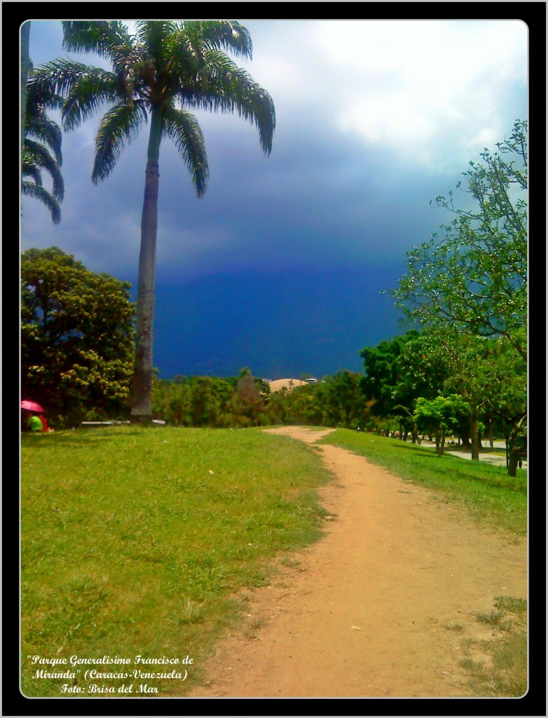 Foto: Parque Generalísimo Francisco de Miranda - Caracas (Distrito Capital), Venezuela