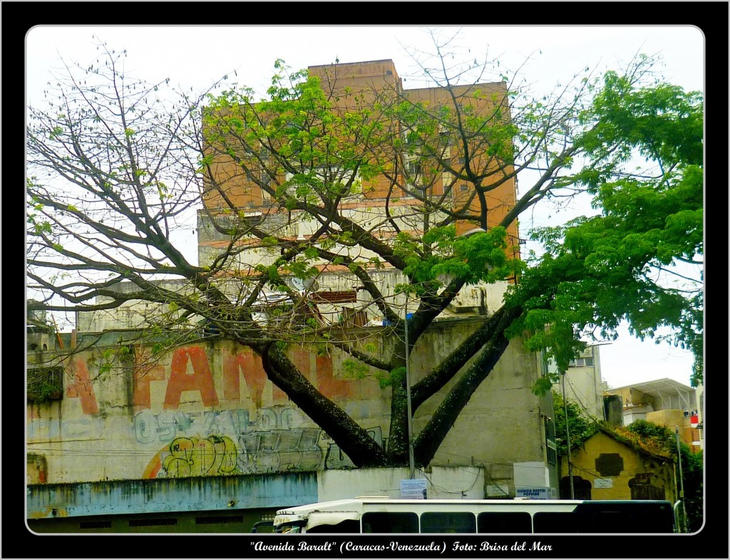 Foto: Esquina del Guanabano (Avenida Baralt) - Caracas (Distrito Capital), Venezuela