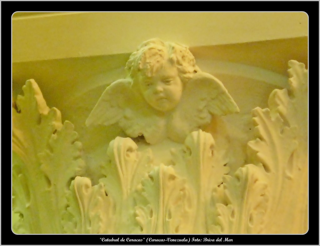 Foto: Catedral de Caracas - Caracas (Distrito Capital), Venezuela