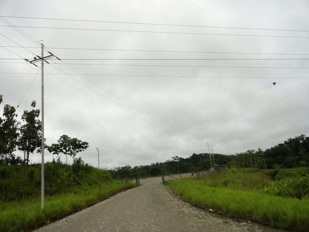 Foto: Camino - Lago Agrio (Sucumbios), Ecuador