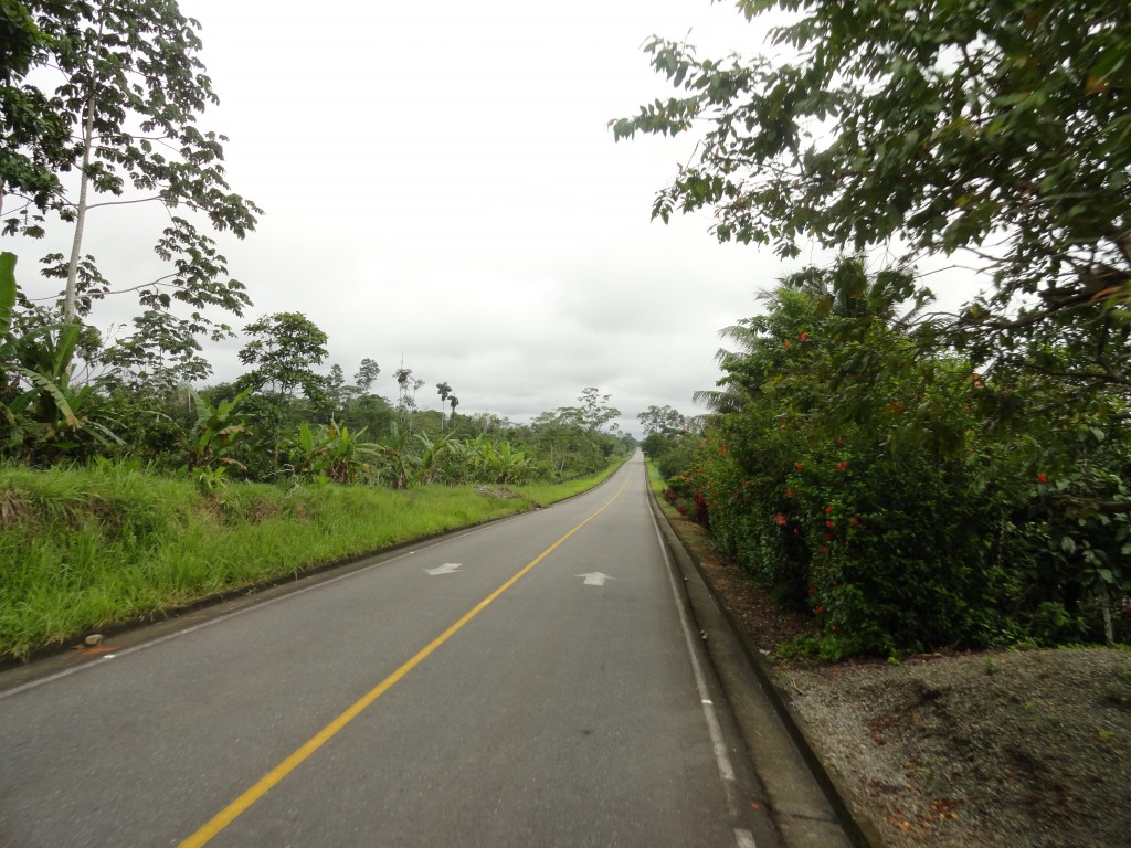 Foto: camino - Lago Agrio (Sucumbios), Ecuador