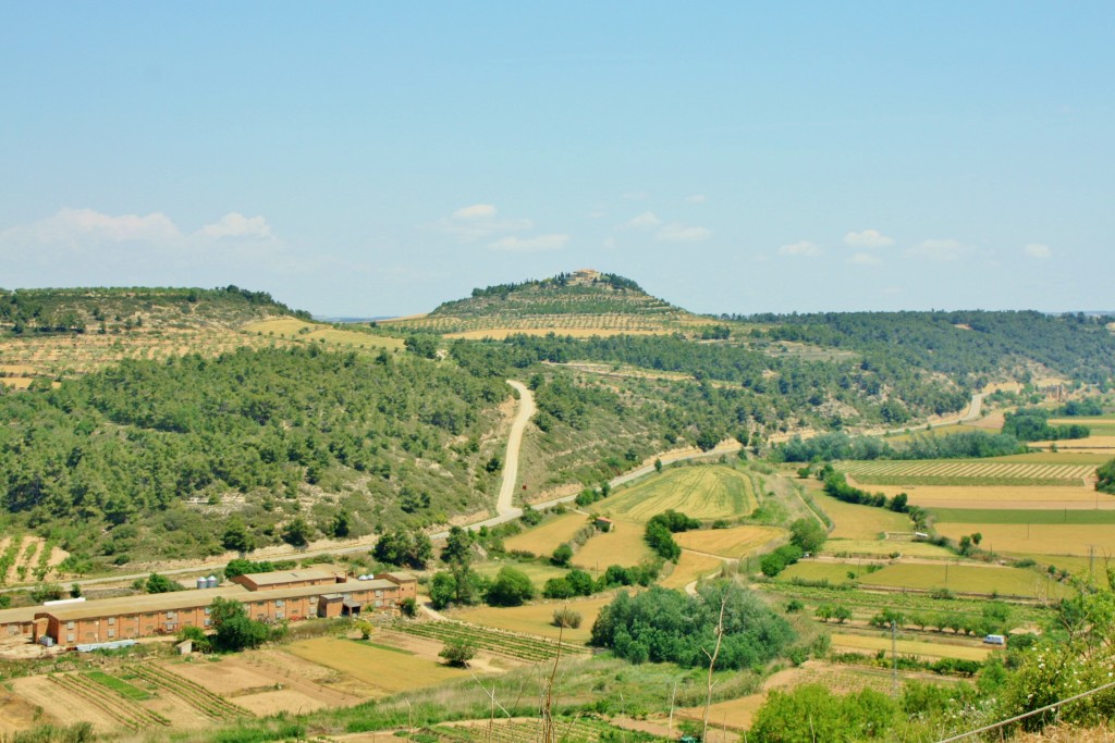 Foto: Vista desde el castillo - Ciutadilla (Lleida), España