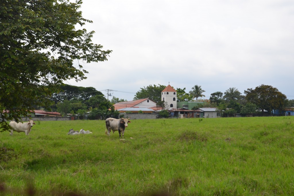 Foto: San Rafael De Alajuela - San Rafael De Alajuela (Alajuela), Costa Rica