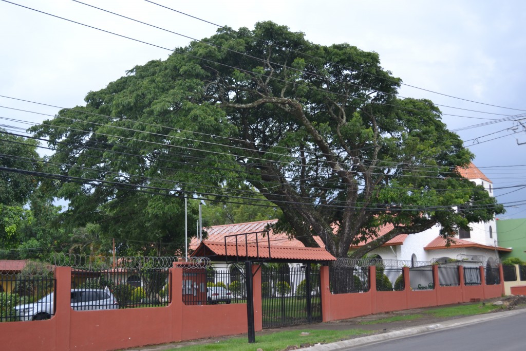 Foto: SAN RAFAEL DE ALAJUELA - San Rafael De Alajuela (Alajuela), Costa Rica