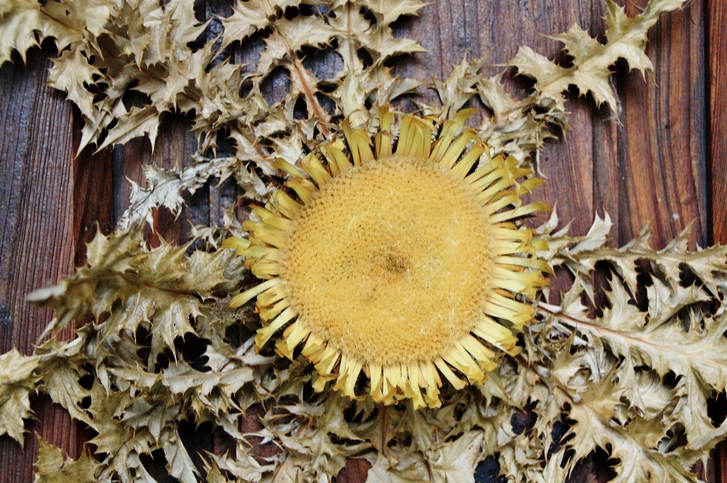 Foto: Adorno en una puerta - Urzainqui (Navarra), España