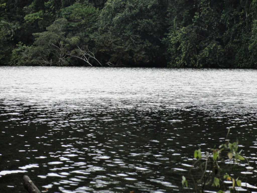 Foto: Paseo Turistico la Perla - Nueva Loja (Lago Agrio) (Sucumbios), Ecuador