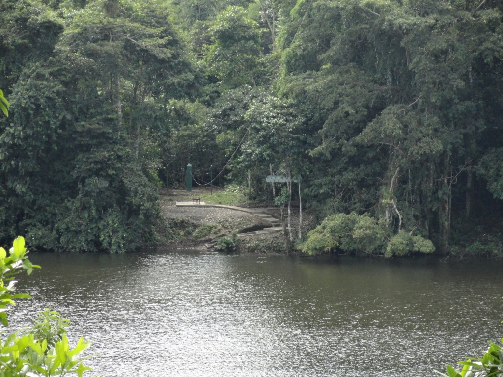 Foto: Estancia la perla - Nueva Loja (Lago Agrio) (Sucumbios), Ecuador