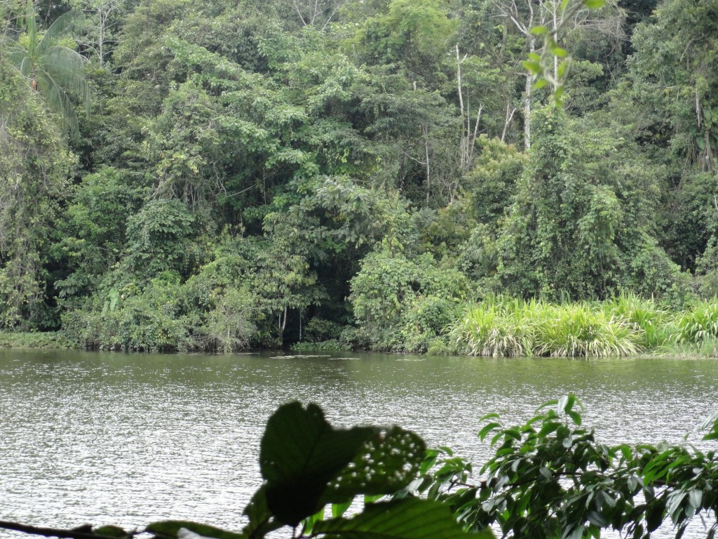 Foto: Estancia la perla - Nueva Loja (Lago Agrio) (Sucumbios), Ecuador