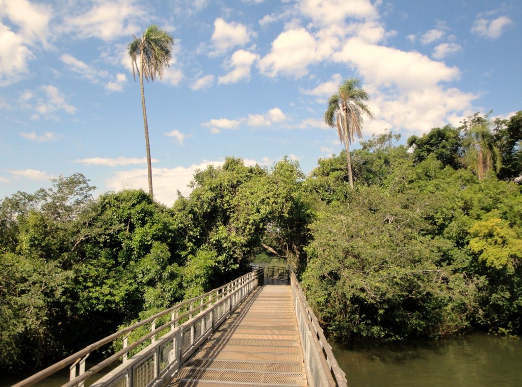 Foto: Garganta Del Diablo - Puerto Iguazú (Misiones), Argentina