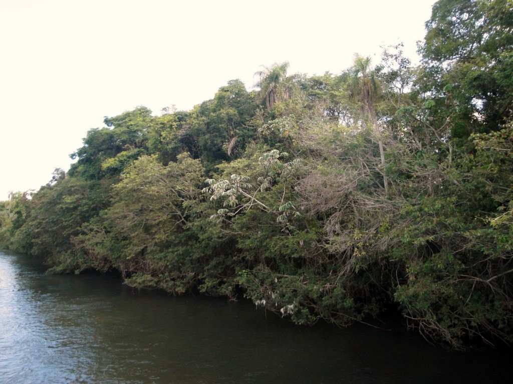 Foto: Garganta Del Diablo - Puerto Iguazú (Misiones), Argentina