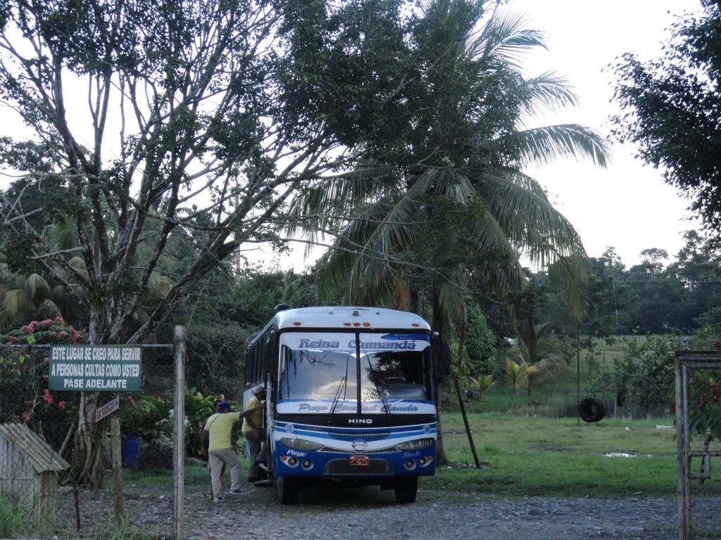 Foto: Paseo - Nueva Loja (Lago Agrio) (Sucumbios), Ecuador