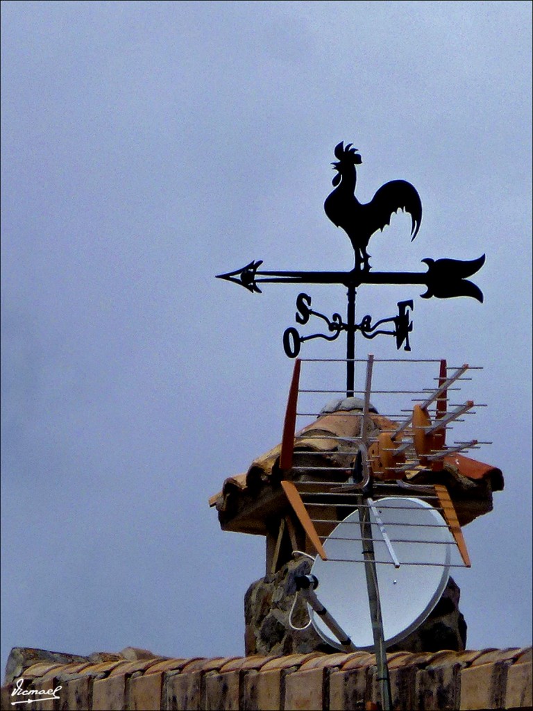 Foto: 120505-101 HUERMEDA - Calatayud (Zaragoza), España