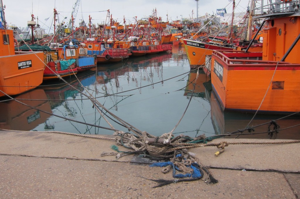 Foto: Puerto - Mar del Plata (Buenos Aires), Argentina