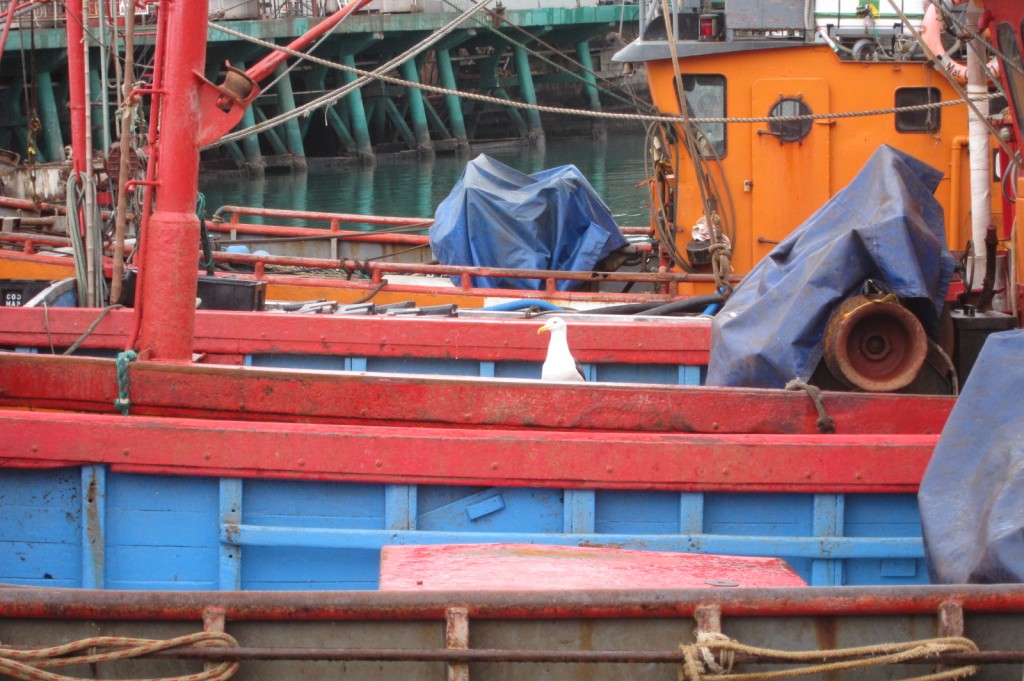 Foto: Puerto - Mar del Plata (Buenos Aires), Argentina