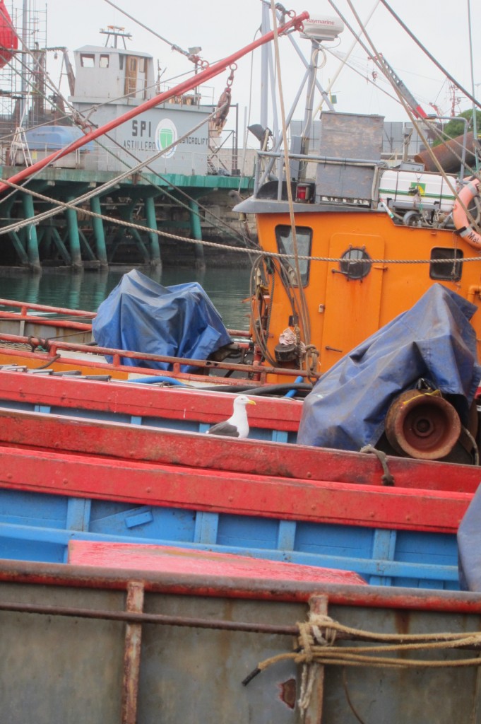 Foto: Puerto - Mar del Plata (Buenos Aires), Argentina