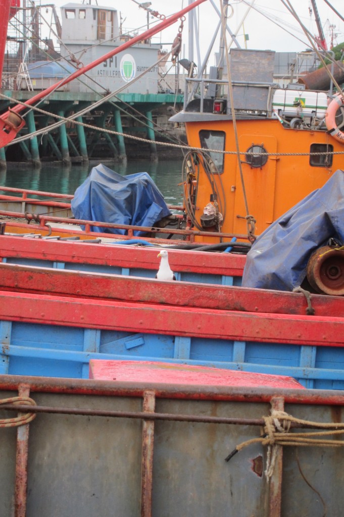 Foto: Puerto - Mar del Plata (Buenos Aires), Argentina