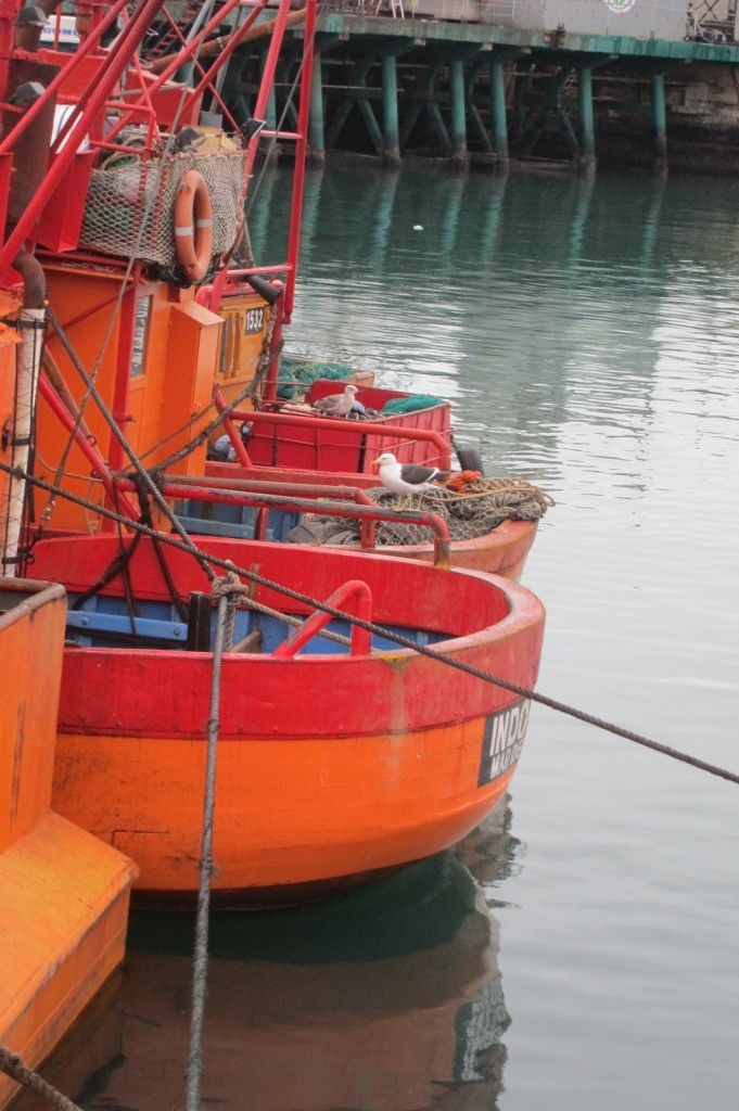 Foto: Puerto - Mar del Plata (Buenos Aires), Argentina