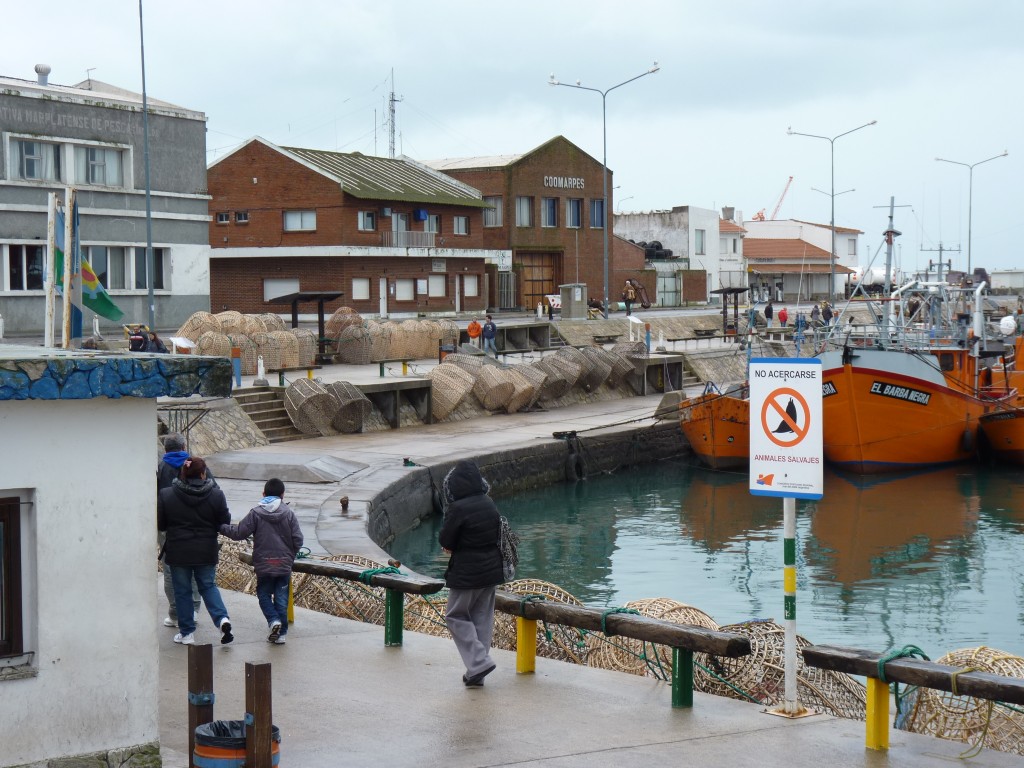 Foto: Puerto - Mar del Plata (Buenos Aires), Argentina