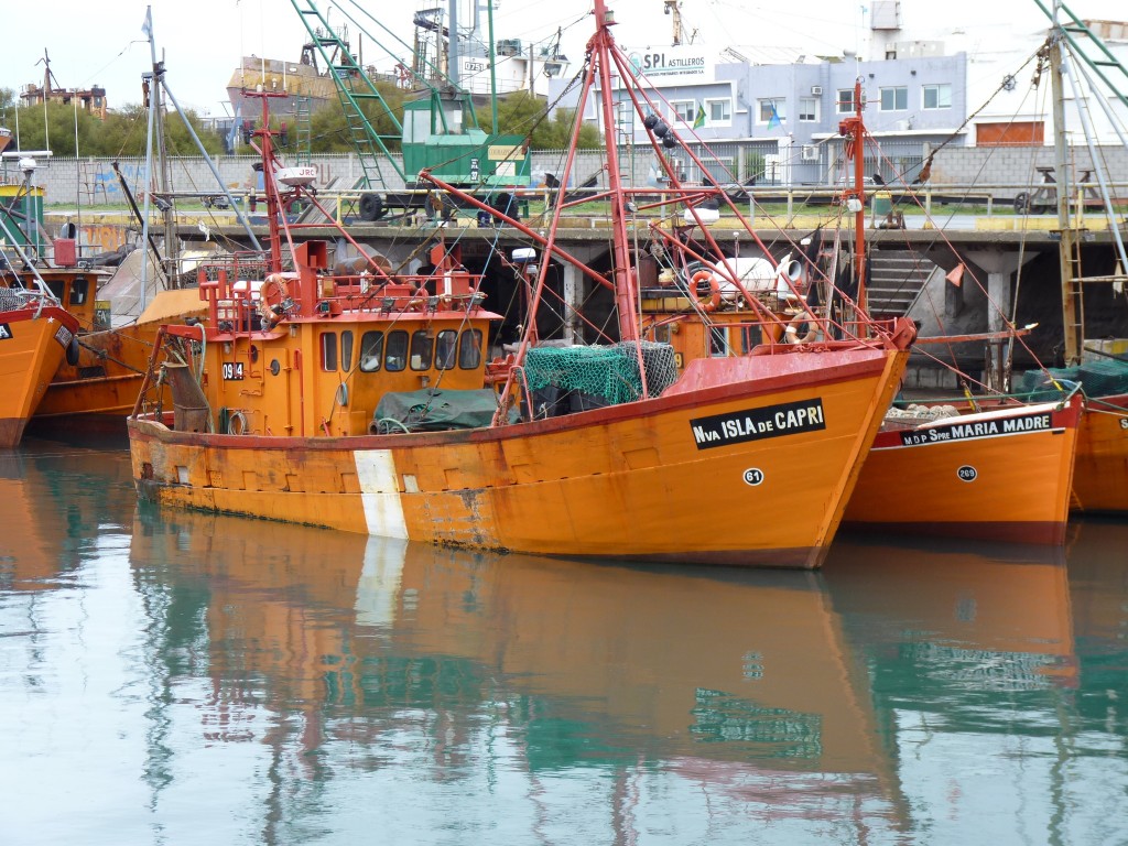 Foto: Puerto - Mar del Plata (Buenos Aires), Argentina