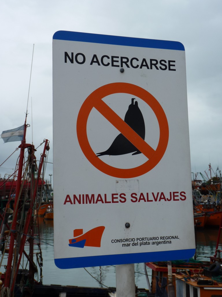 Foto: Puerto - Mar del Plata (Buenos Aires), Argentina