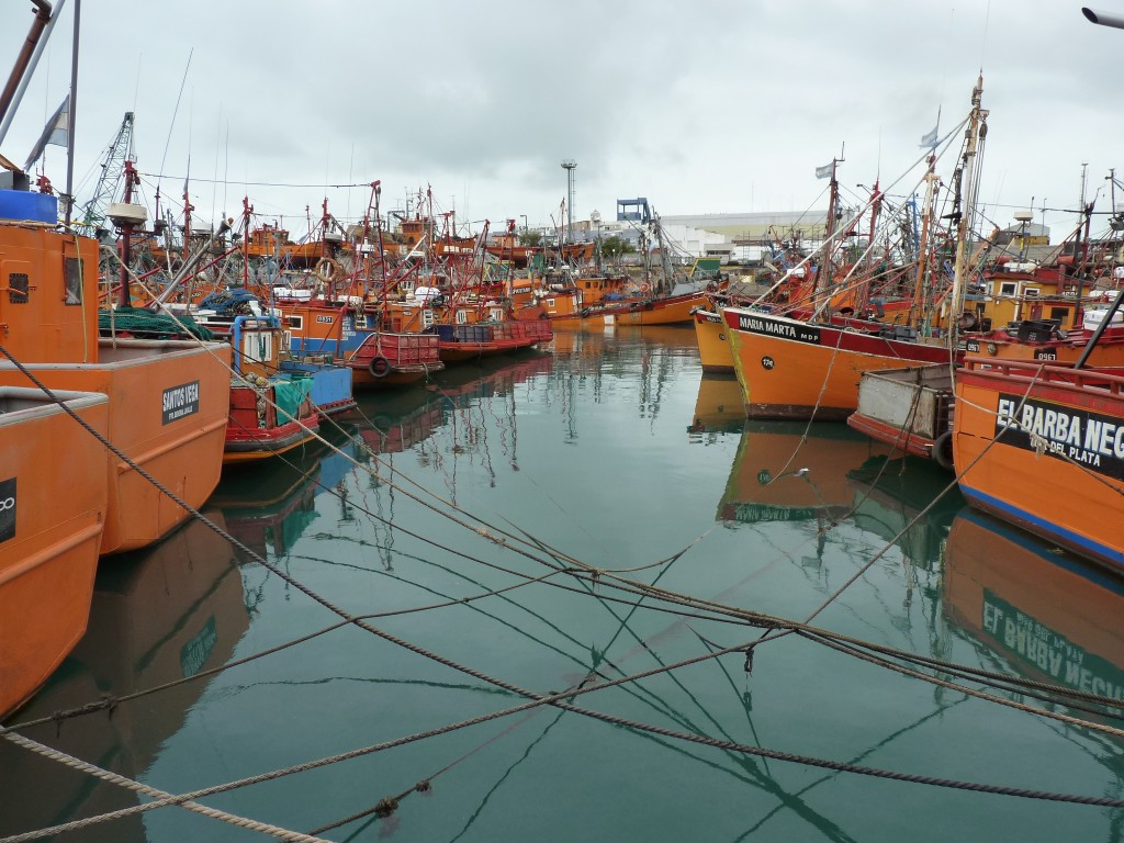 Foto: Puerto - Mar del Plata (Buenos Aires), Argentina
