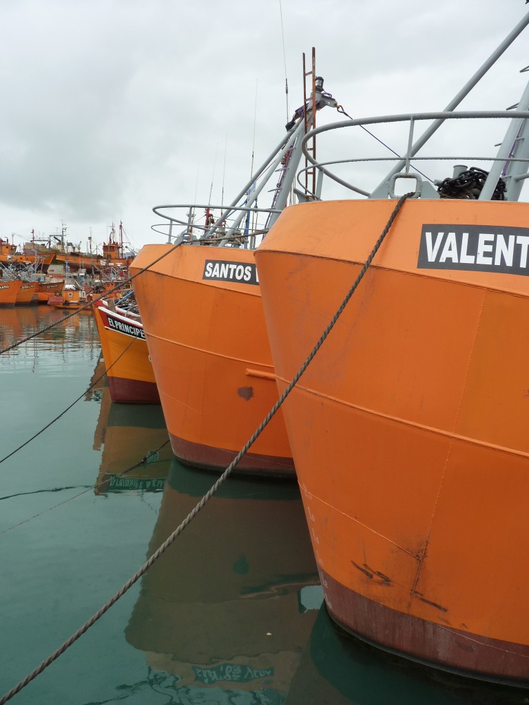 Foto: Puerto - Mar del Plata (Buenos Aires), Argentina