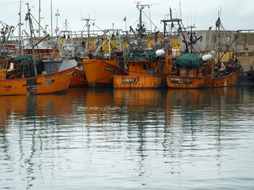 Foto: Puerto - Mar del Plata (Buenos Aires), Argentina