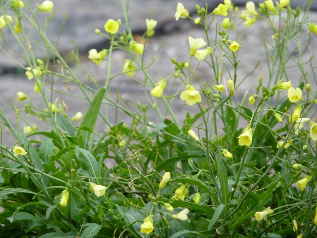 Foto: Puerto - Mar del Plata (Buenos Aires), Argentina