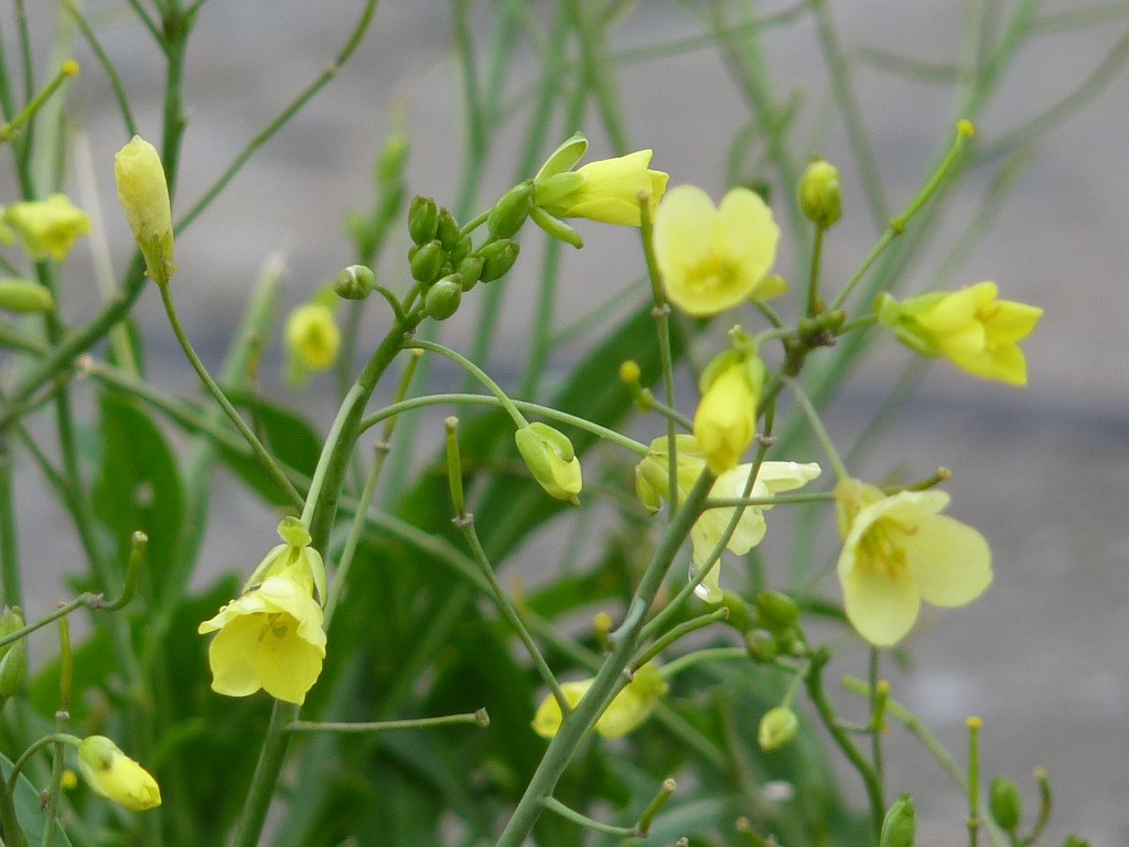 Foto: Puerto - Mar del Plata (Buenos Aires), Argentina