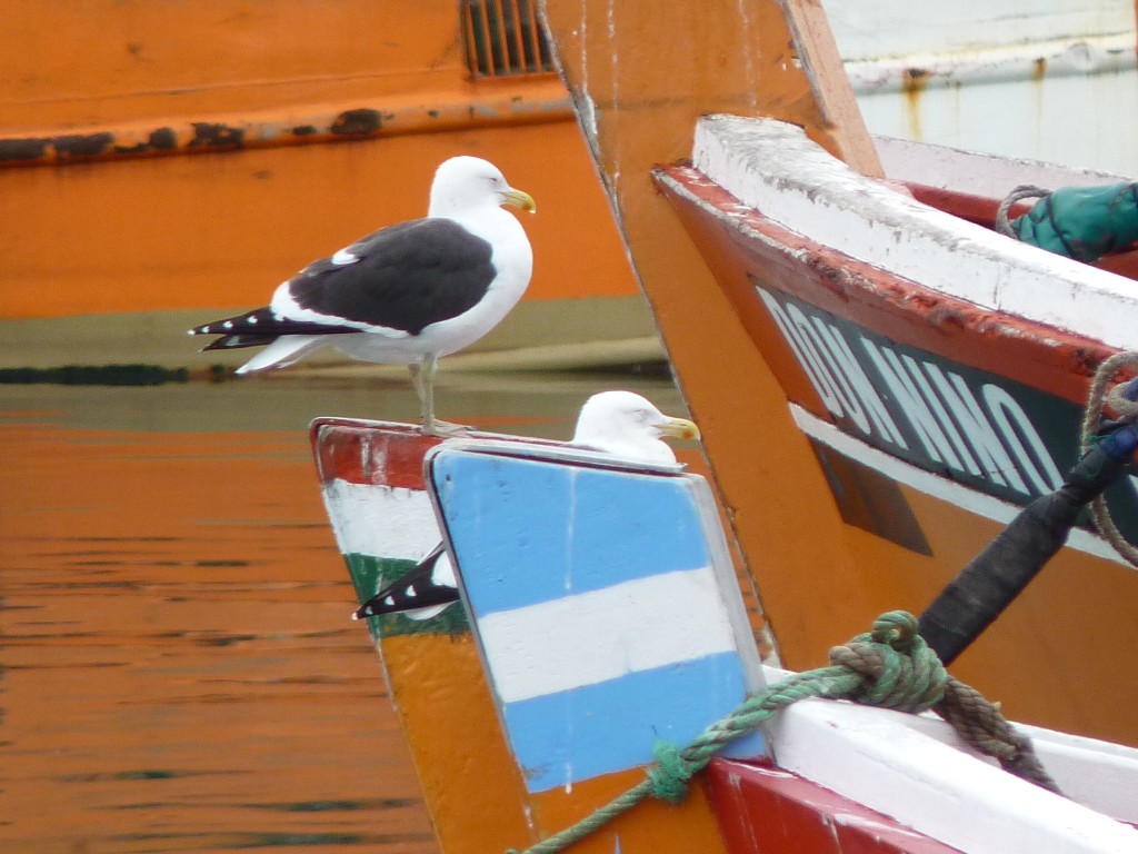 Foto: Puerto - Mar del Plata (Buenos Aires), Argentina