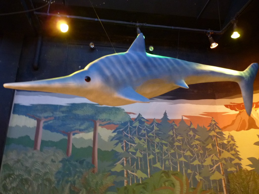 Foto: Museo de Ciencias Naturales - Mar del Plata (Buenos Aires), Argentina