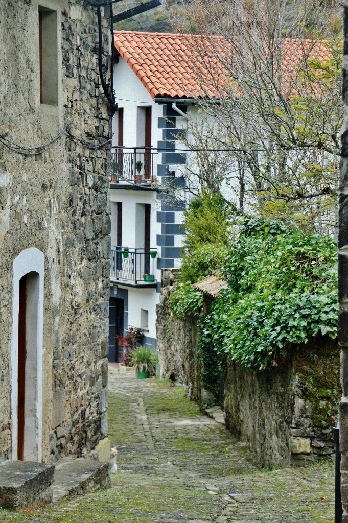 Foto: Centro histórico - Garde (Navarra), España