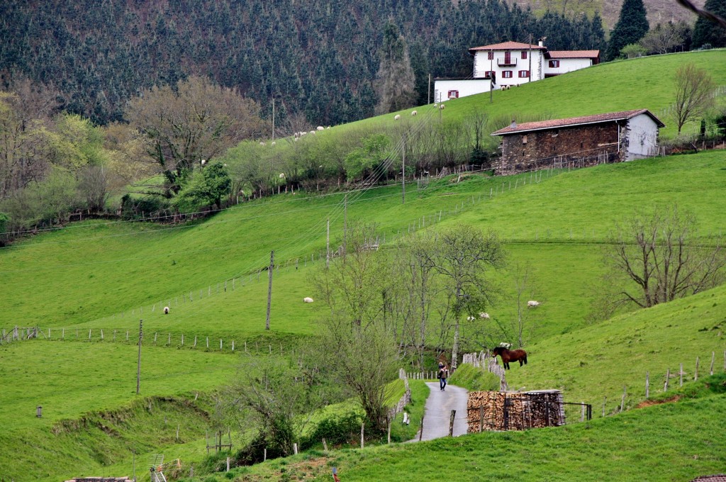 Foto: Vistas desde el pueblo - Etxalar (Navarra), España