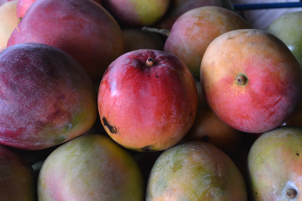 Foto: Mangas - San Joaquin De Flores (Heredia), Costa Rica