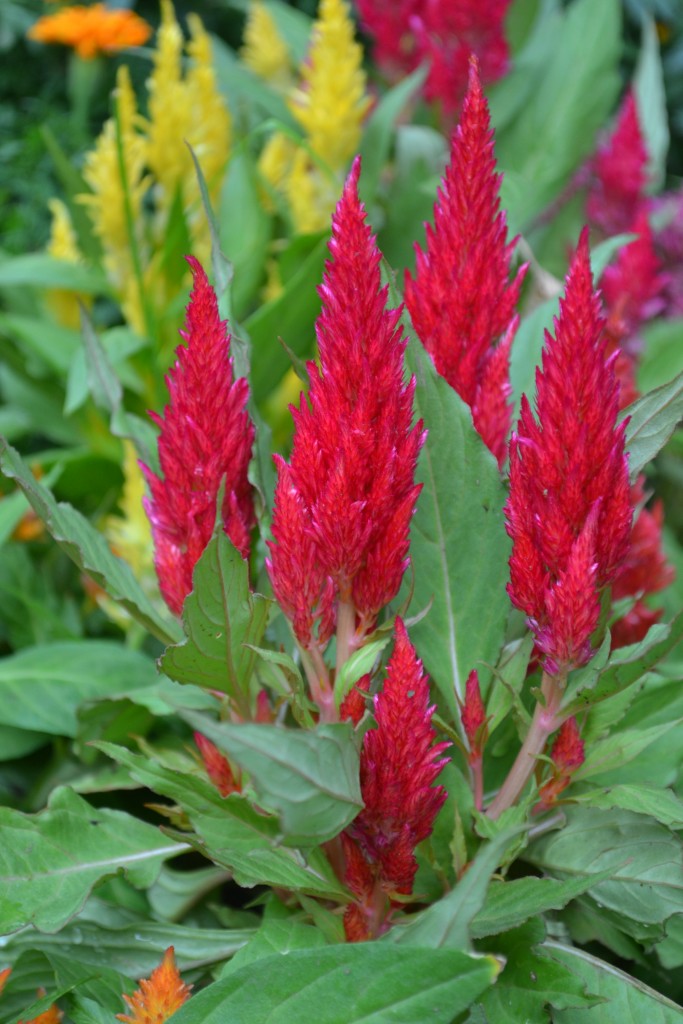 Foto: La Garita - La Garita (Alajuela), Costa Rica