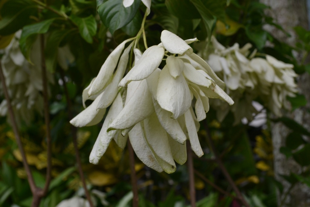 Foto: La Garita - La Garita (Alajuela), Costa Rica