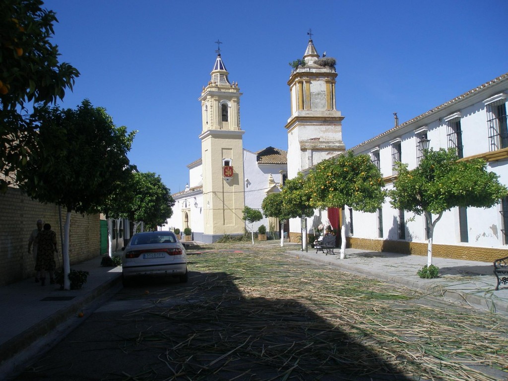 Foto: Corpus Cristi Puerto Serrano - Puerto Serrano (Cádiz), España
