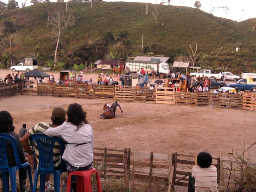 Foto de Simón Bolívar (Mushullacta) (Pastaza), Ecuador