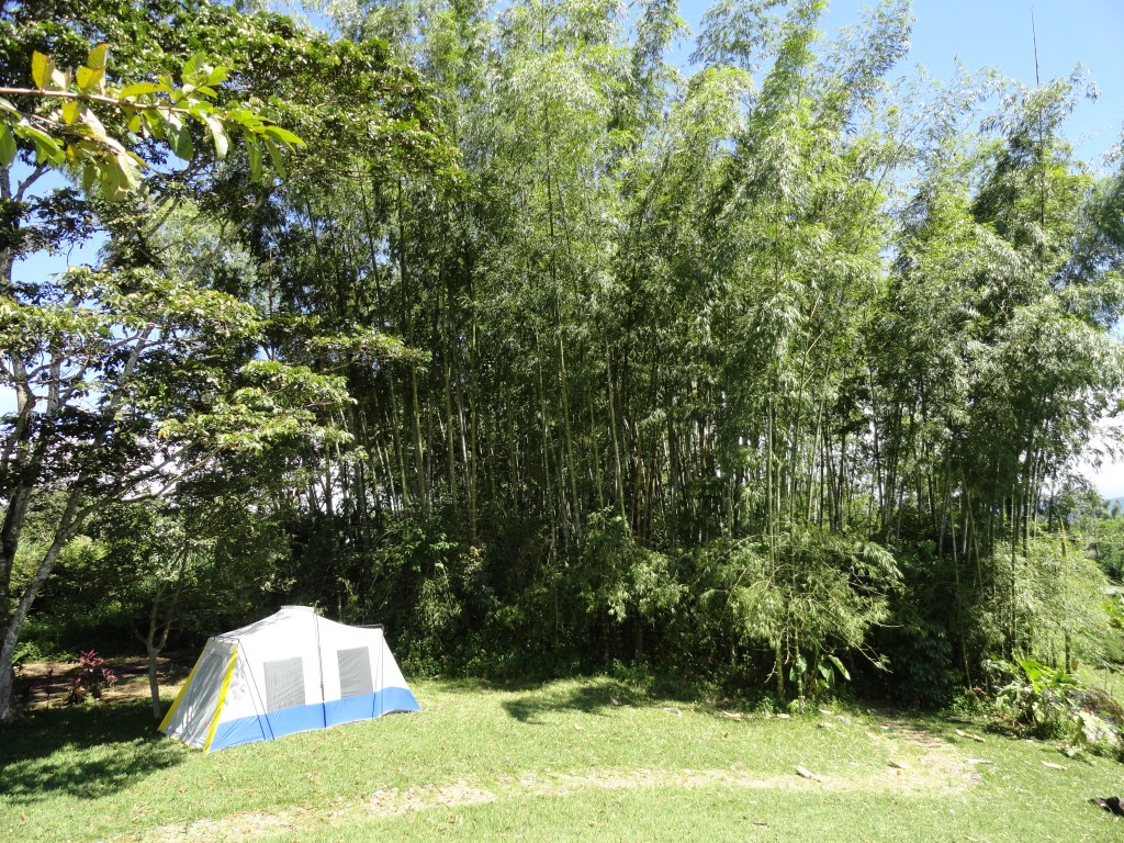 Foto: Carapa - Sucua (Macas) (Morona-Santiago), Ecuador