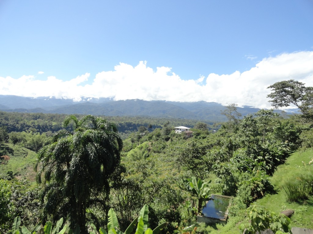 Foto: Paisaje - Sucua (Macas) (Morona-Santiago), Ecuador