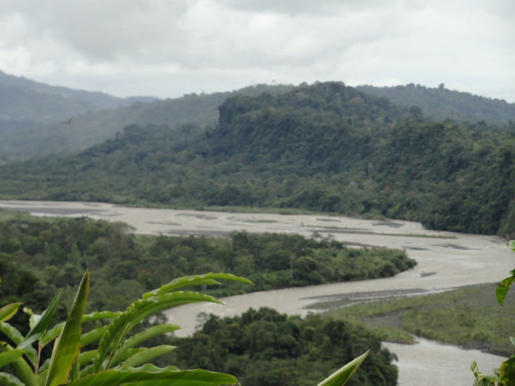 Foto: Rio Upano - Sucua (Morona-Santiago), Ecuador