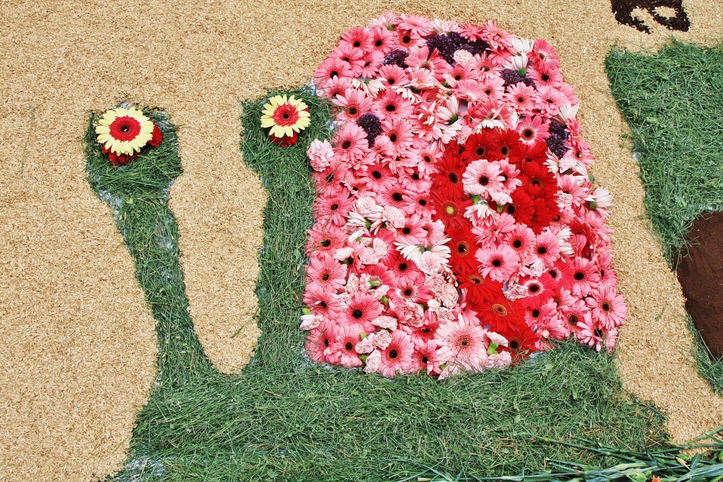 Foto: Alfombras de flores - La Garriga (Barcelona), España