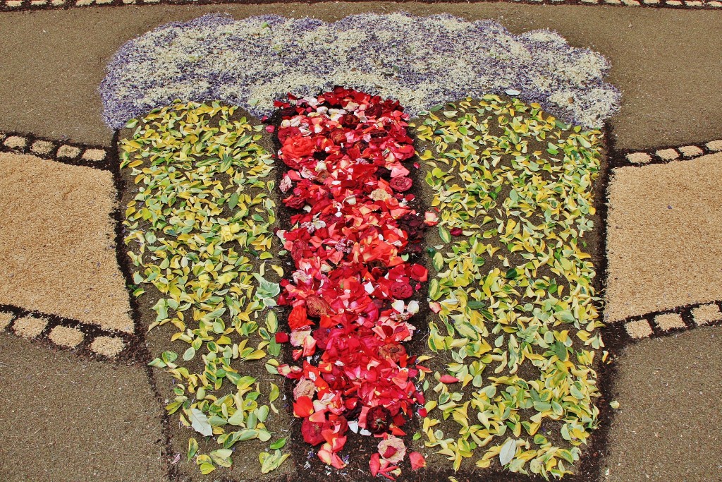 Foto: Alfombras de flores - La Garriga (Barcelona), España