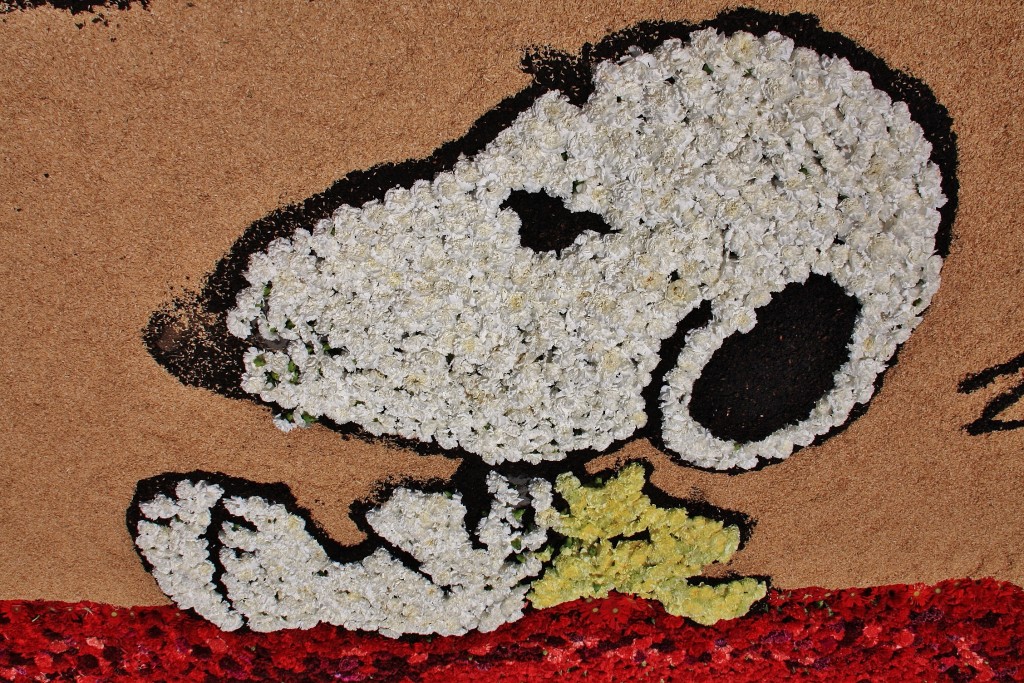 Foto: Alfombras de flores - La Garriga (Barcelona), España