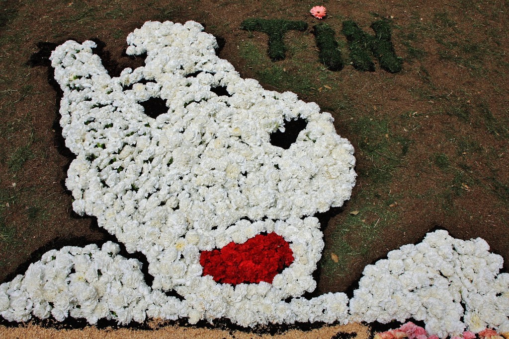 Foto: Alfombras de flores - La Garriga (Barcelona), España