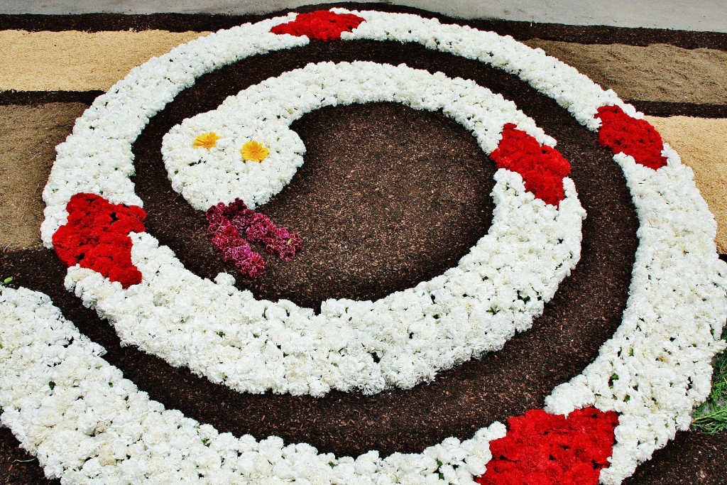 Foto: Alfombras de flores - La Garriga (Barcelona), España