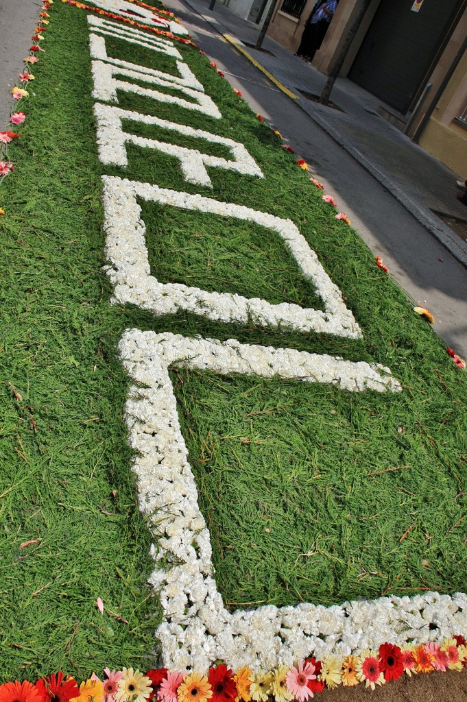 Foto: Alfombras de flores - La Garriga (Barcelona), España